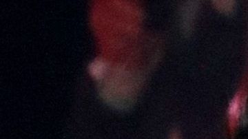 Cardi B estrenará pronto nuevo tatuaje.