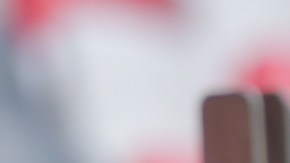 Chepo de la torre renuncia