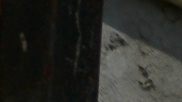 El psicólogo Christian Romero frente a la van de la terapia individual. / foto: Manuel Ocaño.