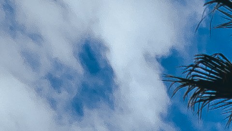 Foto: Cortesía