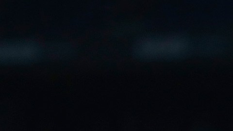 Diego Lainez
