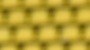 Erling Haaland comida mexicana