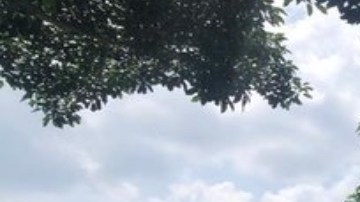 FOTOS: Agarran a 5 narcos con casi 3 toneladas de marihuana y cristal