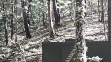 FOTOS: Autodefensas exponen troca monstruo del Mencho y a integrantes del CJNG