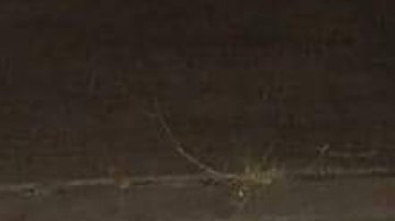 FOTOS: Grupo Élite del CJNG descuartiza brutalmente a hombre junto a narcomensaje