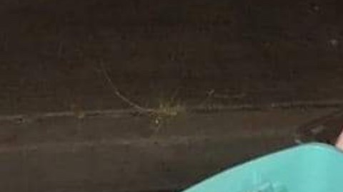 FOTOS: Grupo Élite del CJNG descuartiza brutalmente a hombre junto a narcomensaje