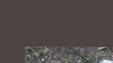 FOTOS: Grupo Élite del CJNG mata a balazos doña Basu, mujer de 60 años