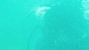 Especialistas del INAH, adscritos al proyecto Arqueología Subacuática en la Villa Rica de la Vera Cruz, localizaron en el puerto jarocho dos anclas de hierro. Archivo