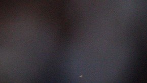 Funes mori chicharito