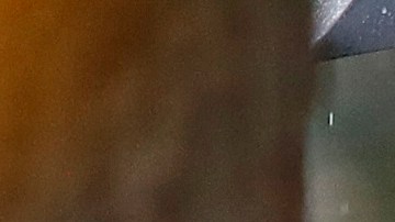 Trump no acudió a uno de los actos de conmemoración de los caídos de EE.UU. por la lluvia.