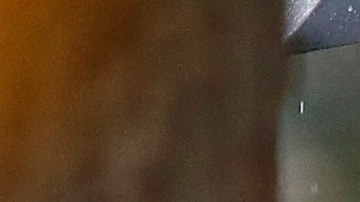 Trump no acudió a uno de los actos de conmemoración de los caídos de EE.UU. por la lluvia.