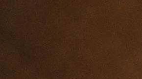 Ayuda económica estímulo economía coronavirus COVID-19 Congreso Senado Republicanos cheques