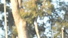 El partido se celebrará en el Estadio Azteca.