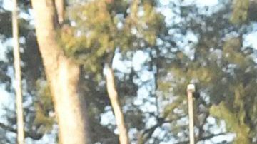 El partido se celebrará en el Estadio Azteca.