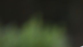 Mason Greenwood y Phil Foden en un entrenamiento con la selección inglesa.