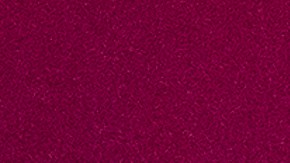 Brad Parscale fue detenido y trasladado a un hospital del sur de Florida.