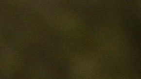 Los hechos ocurrieron antes del cierre de  las oficinas de USCIS por la pandemia de coronavirus.