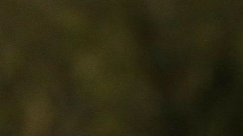 Los hechos ocurrieron antes del cierre de  las oficinas de USCIS por la pandemia de coronavirus.