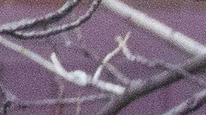 California va para el millón de casos de coronavirus. (Getty Images)