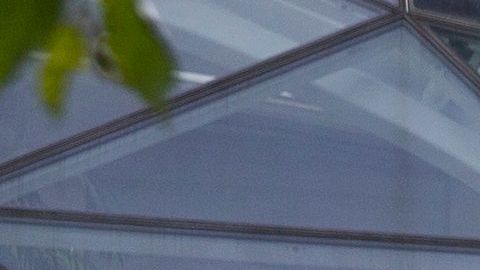 Amazon está ofreciendo 10,000 puestos de trabajo