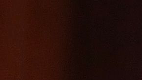 Los líderes demócratas en el Congreso en alerta por intervención extranjera en las elecciones.