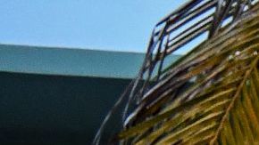 Una pareja disfrutando de unas bebidas en un bar de Miami Beach.