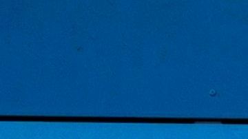 Walmart es de las pocas compañías que tiene más empleados en almacenes y centros de distribución que corporativos. En pandemia prácticamente la compañía no paró.