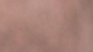 Los CDC podrán prohibir los desalojos hasta el final del año