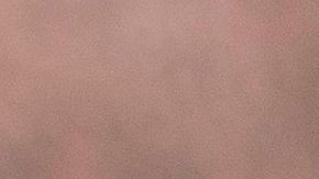 Los CDC podrán prohibir los desalojos hasta el final del año