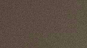 AOC denuncia también la gestión de la pandemia dentro de los centros de detención.