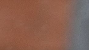 CDC volvió a prohibir recientemente los desalojos en todo el país.