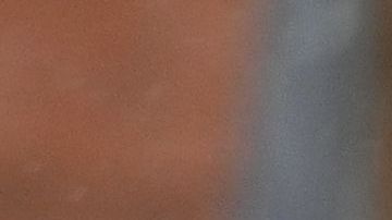 CDC volvió a prohibir recientemente los desalojos en todo el país.