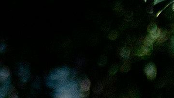 El abogado de Blake elogió la visita y la actitud de Biden.