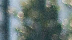 Los ultraderechistas echaron gas pimienta contra hombre desnudo.