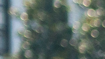 Los ultraderechistas echaron gas pimienta contra hombre desnudo.