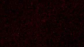 Bomberos de Butte ven levantarse una torre de fuego ante ellos.