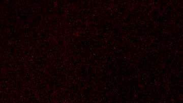 Bomberos de Butte ven levantarse una torre de fuego ante ellos.