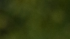 El Presidente y la Primera Dama asisten al acto en el Flight 93 National Memorial, el 11 de sept. de 2020.