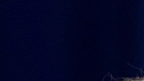 Biden estuvo de campaña por Florida el día que empieza el mes de la herencia hispana.
