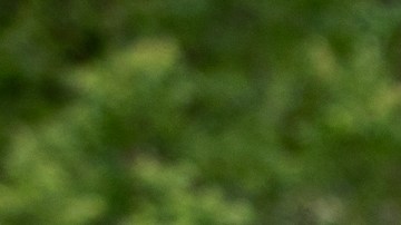 Adam Hollingsworth se enfrenta a varios cargos.