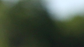 Personas practicando Zumba en un estacionamiento de Islip, en Nueva York.