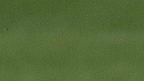 Martino ya habló con el futbolista.