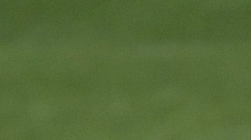 Martino ya habló con el futbolista.