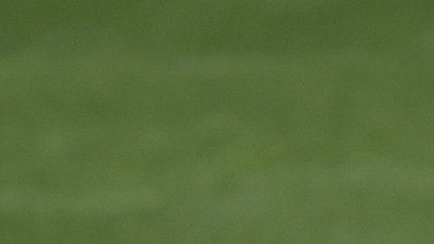 Martino ya habló con el futbolista.