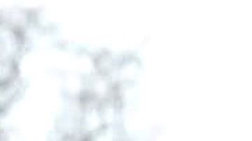 Razones que podrían desalentar recibir otro cheque de estímulo económico