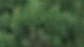 MacKenzie Scott la mujer más rica del planeta