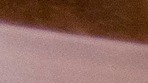 Home Depot cancela el Black Friday