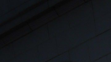 Protesta contra la violencia doméstica