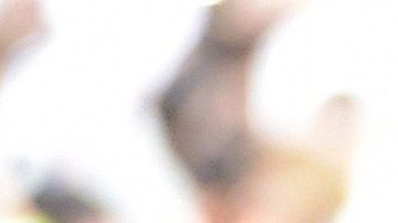 Michael-Owen
