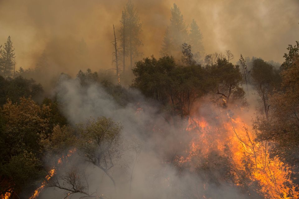 Al menos 14 bomberos y operadores lesionados cuando los rodeó el fuego en California La Opinión